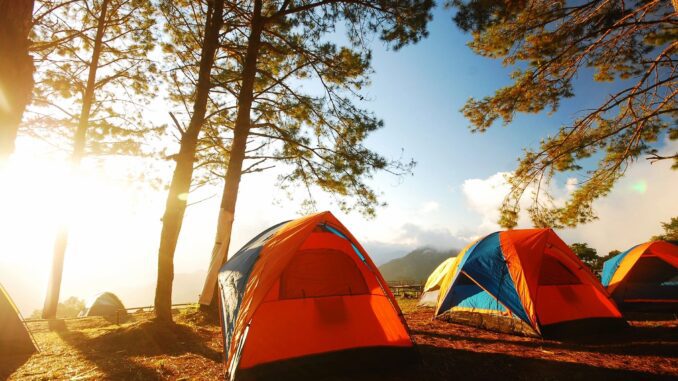 Camping at cherokee Lake campground near trees in colorful orange tent during an early sunrise.